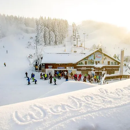 The Deluxe - Exklusive Ausstattung, Bestlage Zwischen Skikarussell Und Marktplatz, Eigener Garten, Ski- Und Fahrradraum, Ruhige Suedausrichtung, Wlan, Hundefreundlich Lejlighed *