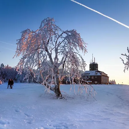 The Deluxe - Exklusive Ausstattung, Bestlage Zwischen Skikarussell Und Marktplatz, Eigener Garten, Ski- Und Fahrradraum, Ruhige Suedausrichtung, Wlan, Hundefreundlich Lejlighed Winterberg