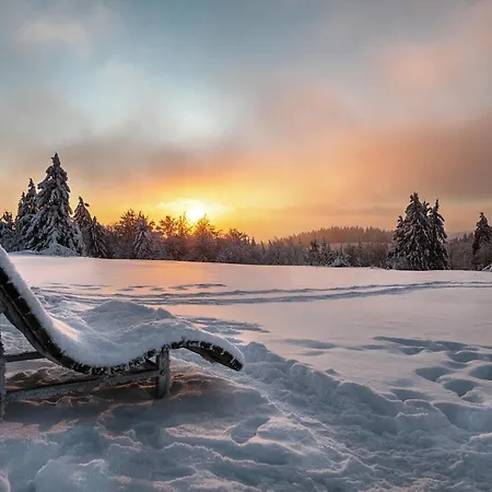 The Deluxe - Exklusive Ausstattung, Bestlage Zwischen Skikarussell Und Marktplatz, Eigener Garten, Ski- Und Fahrradraum, Ruhige Suedausrichtung, Wlan, Hundefreundlich Lejlighed Winterberg