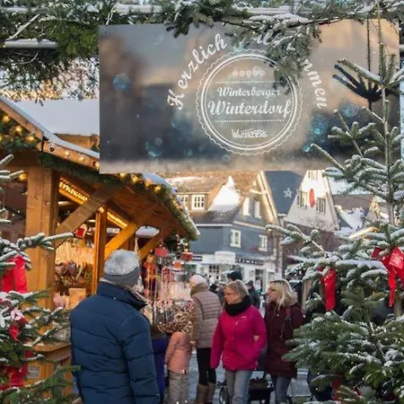 The Deluxe: Ski-to-market Luxury With Garden *