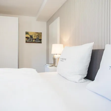 The Deluxe: Ski-to-market Luxury With Garden