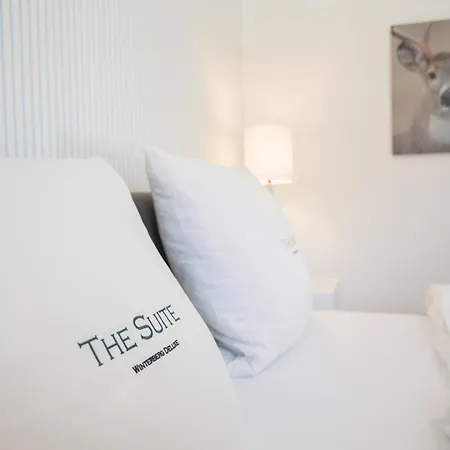 Apartment The Deluxe: Ski-to-market Luxury With Garden Winterberg