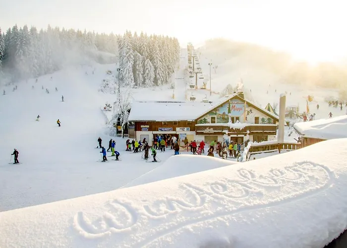 The Deluxe - Exklusive Ausstattung, Bestlage Zwischen Skikarussell Und Marktplatz, Eigener Garten, Ski- Und Fahrradraum, Ruhige Suedausrichtung, Wlan, Hundefreundlich Lejlighed *