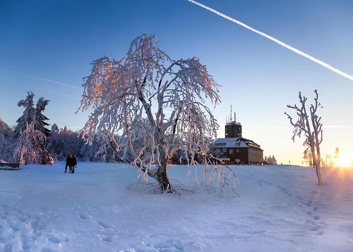 The Deluxe - Exklusive Ausstattung, Bestlage Zwischen Skikarussell Und Marktplatz, Eigener Garten, Ski- Und Fahrradraum, Ruhige Suedausrichtung, Wlan, Hundefreundlich Lejlighed Winterberg