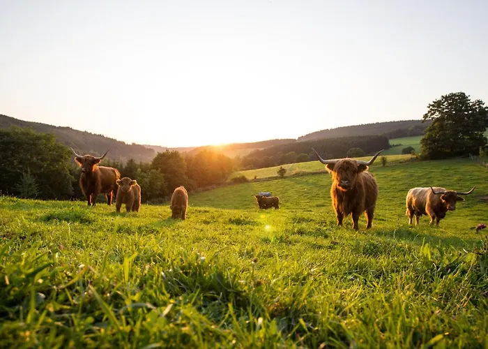 The Deluxe: Ski-to-market Luxury With Garden