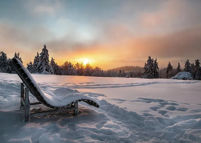 The Deluxe - Exklusive Ausstattung, Bestlage Zwischen Skikarussell Und Marktplatz, Eigener Garten, Ski- Und Fahrradraum, Ruhige Suedausrichtung, Wlan, Hundefreundlich Lejlighed Winterberg