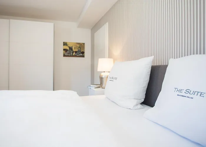 The Deluxe - Exklusive Ausstattung, Bestlage Zwischen Skikarussell Und Marktplatz, Eigener Garten, Ski- Und Fahrradraum, Ruhige Suedausrichtung, Wlan, Hundefreundlich